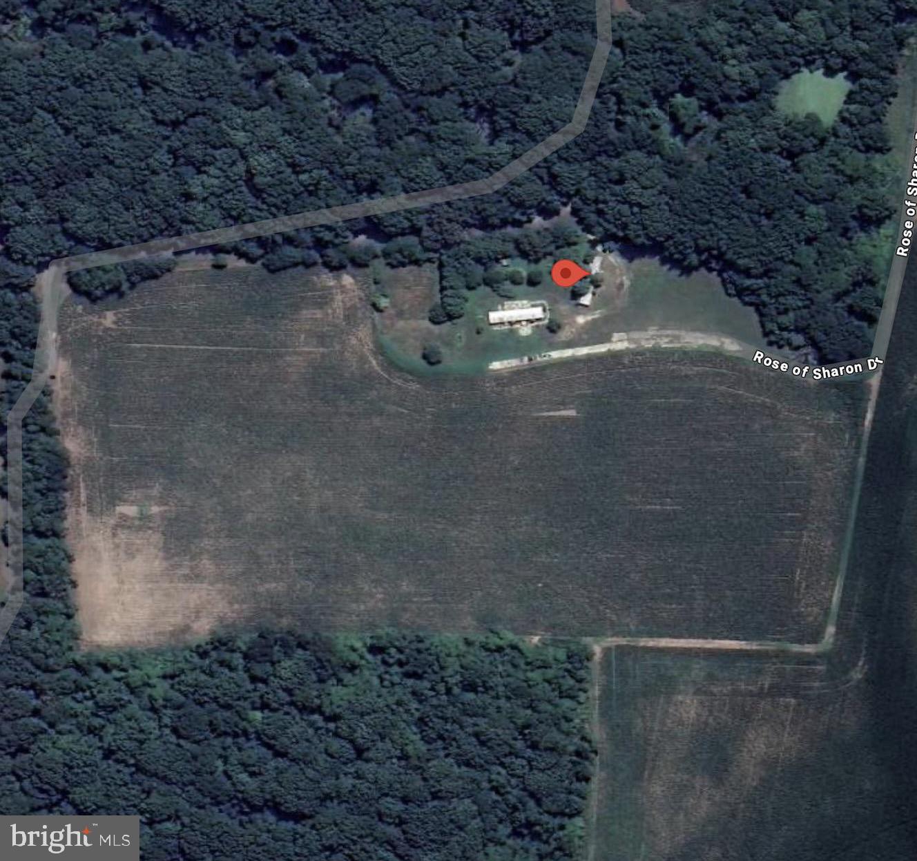 389 Killens Pond Road Harrington, DE 19952 - Photo 2 of 13