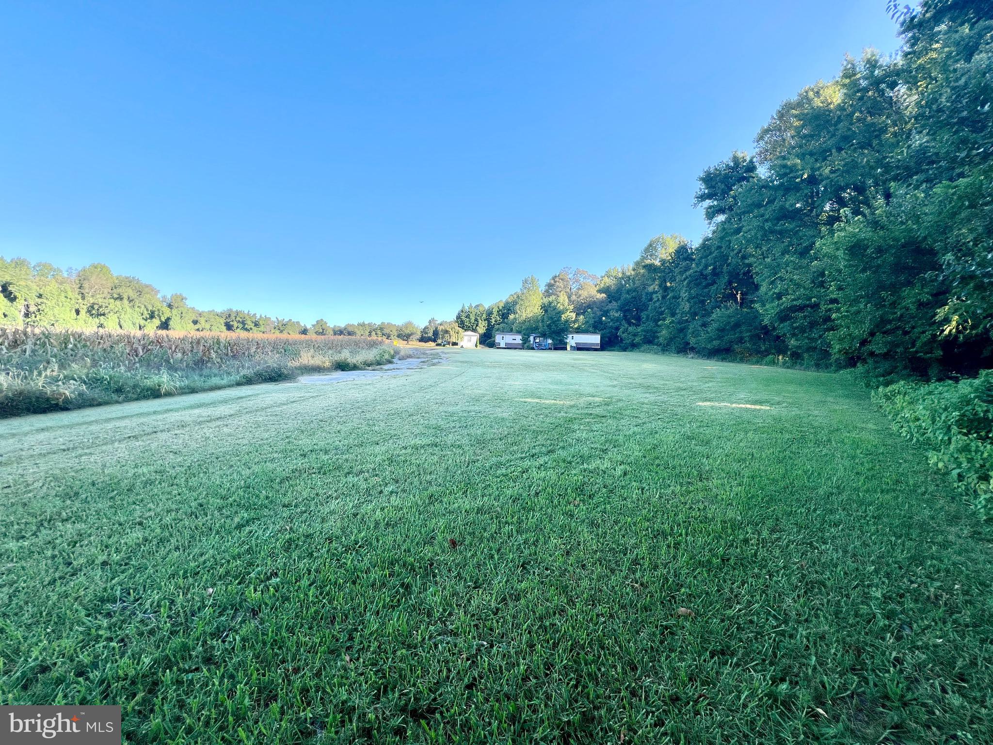 389 Killens Pond Road Harrington, DE 19952 - Photo 4 of 13