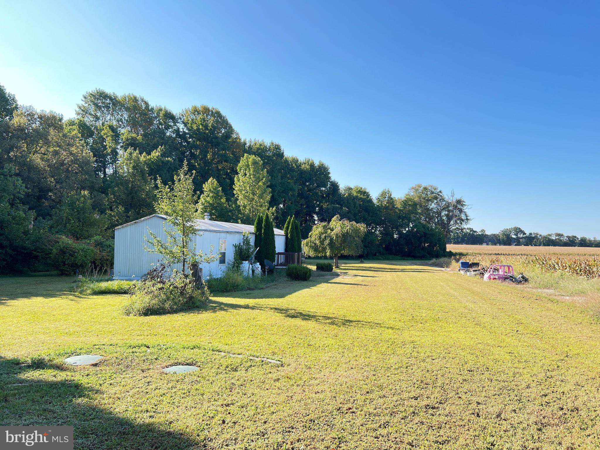 389 Killens Pond Road Harrington, DE 19952 - Photo 5 of 13