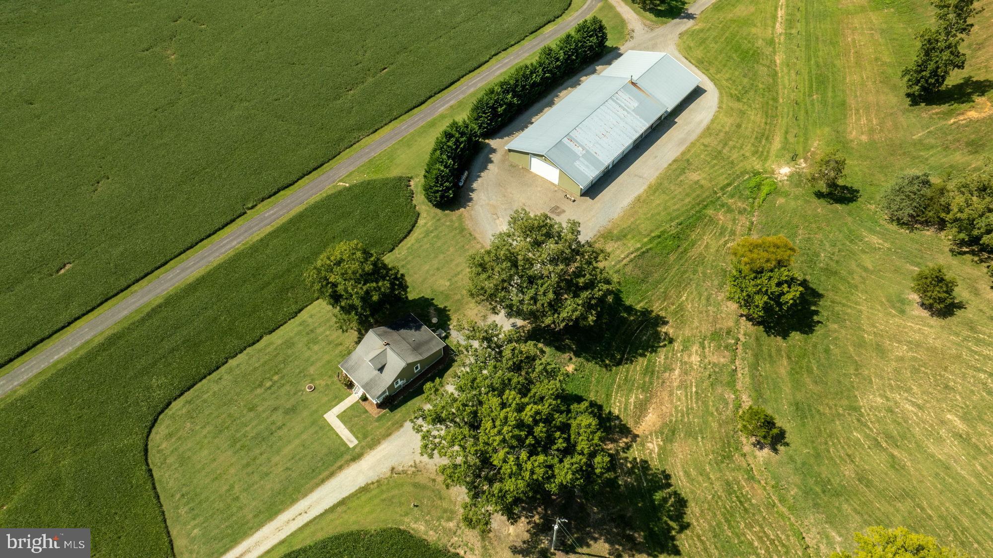 161 Forest Lane Road Fredericksburg, VA 22405 - Photo 3 of 99 Home and front barn