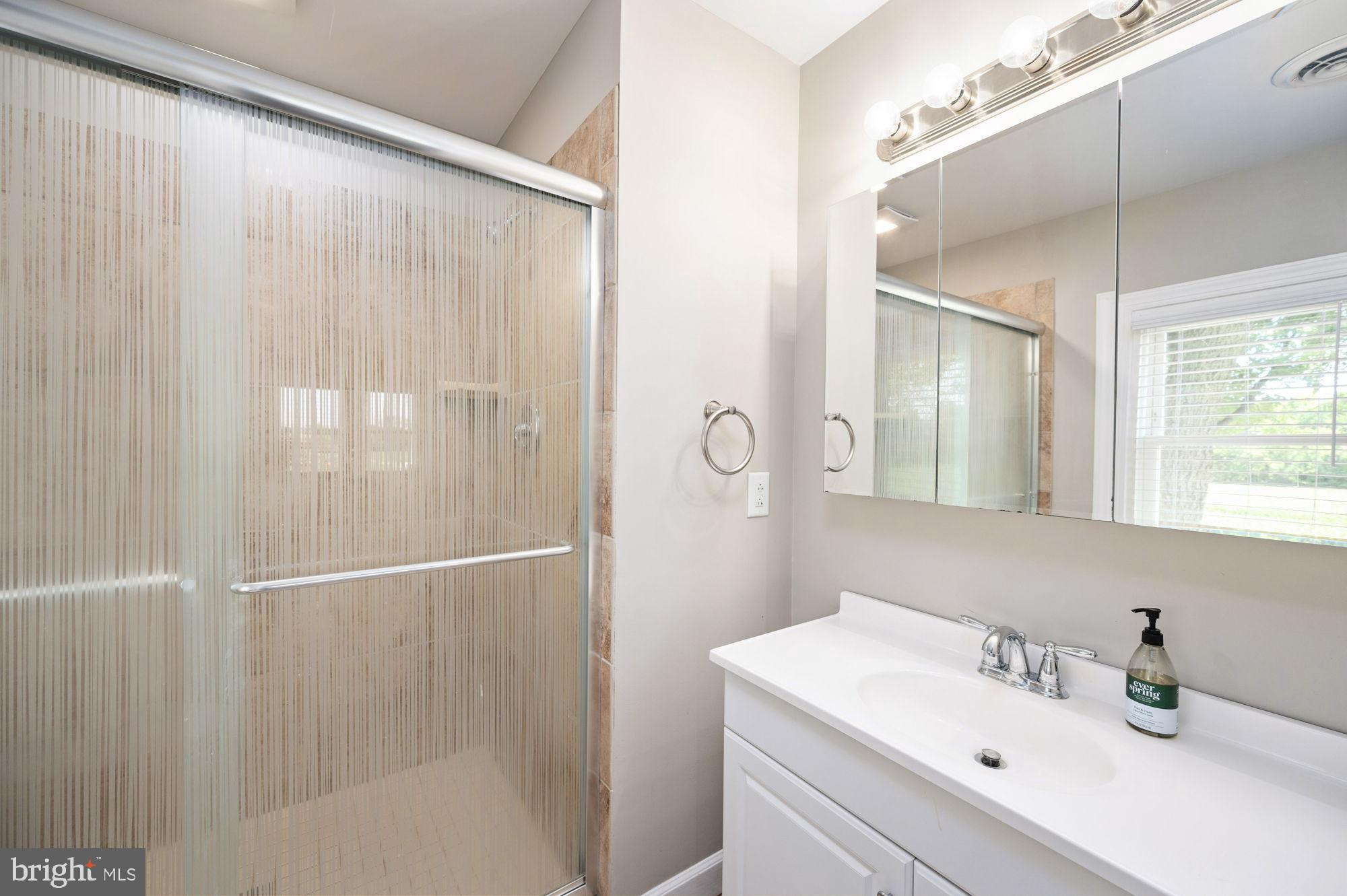 161 Forest Lane Road Fredericksburg, VA 22405 - Photo 32 of 99 a bathroom with a sink and a mirror