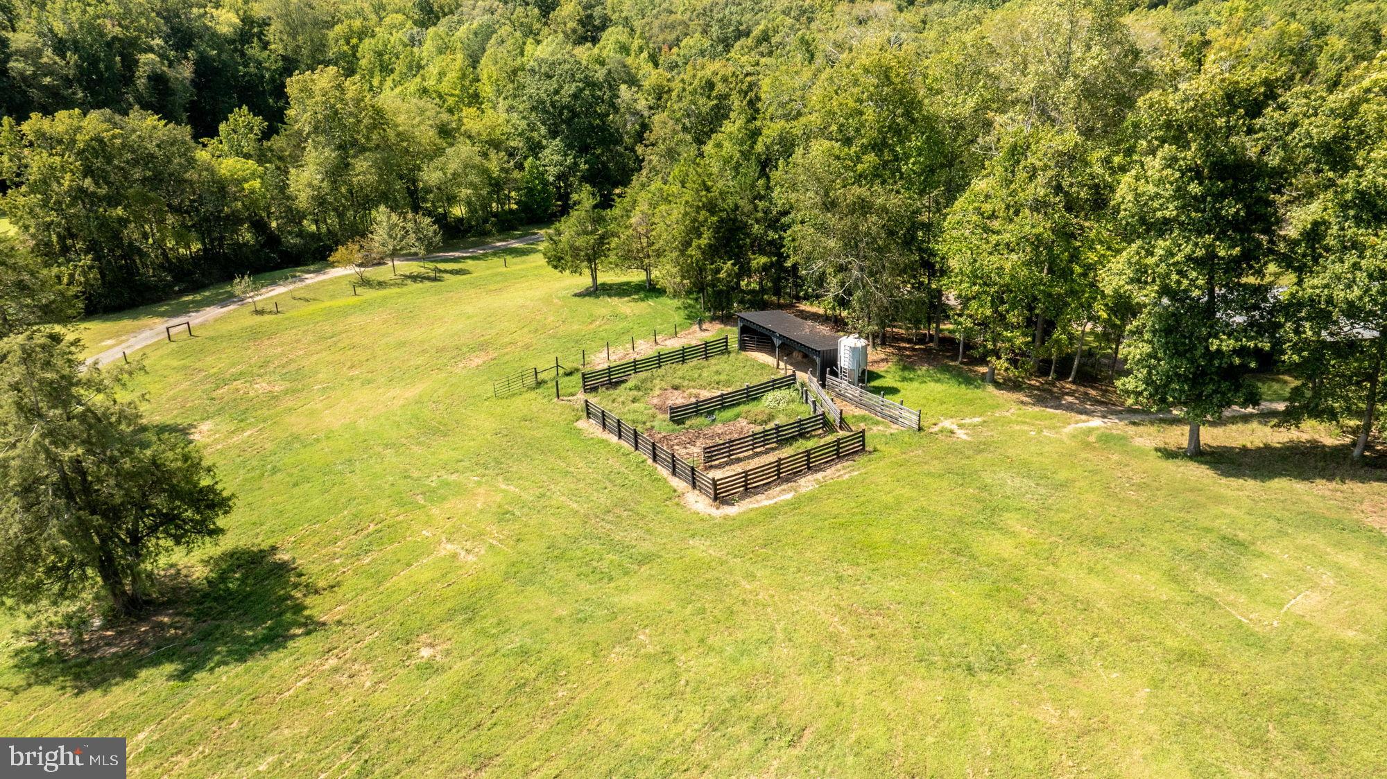 161 Forest Lane Road Fredericksburg, VA 22405 - Photo 61 of 99 a view of a swimming pool with an outdoor seating and yard