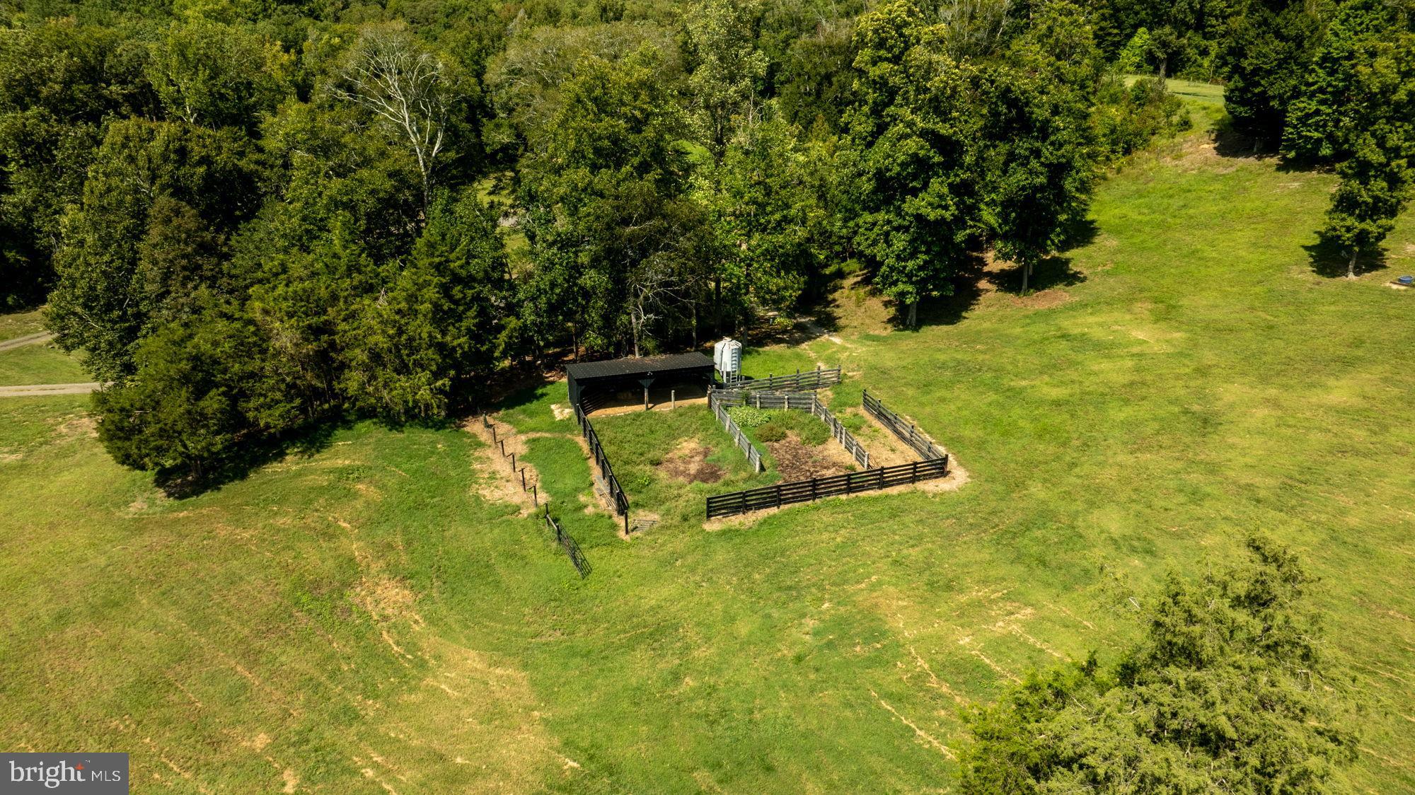 161 Forest Lane Road Fredericksburg, VA 22405 - Photo 62 of 99 a view of a yard with swimming pool