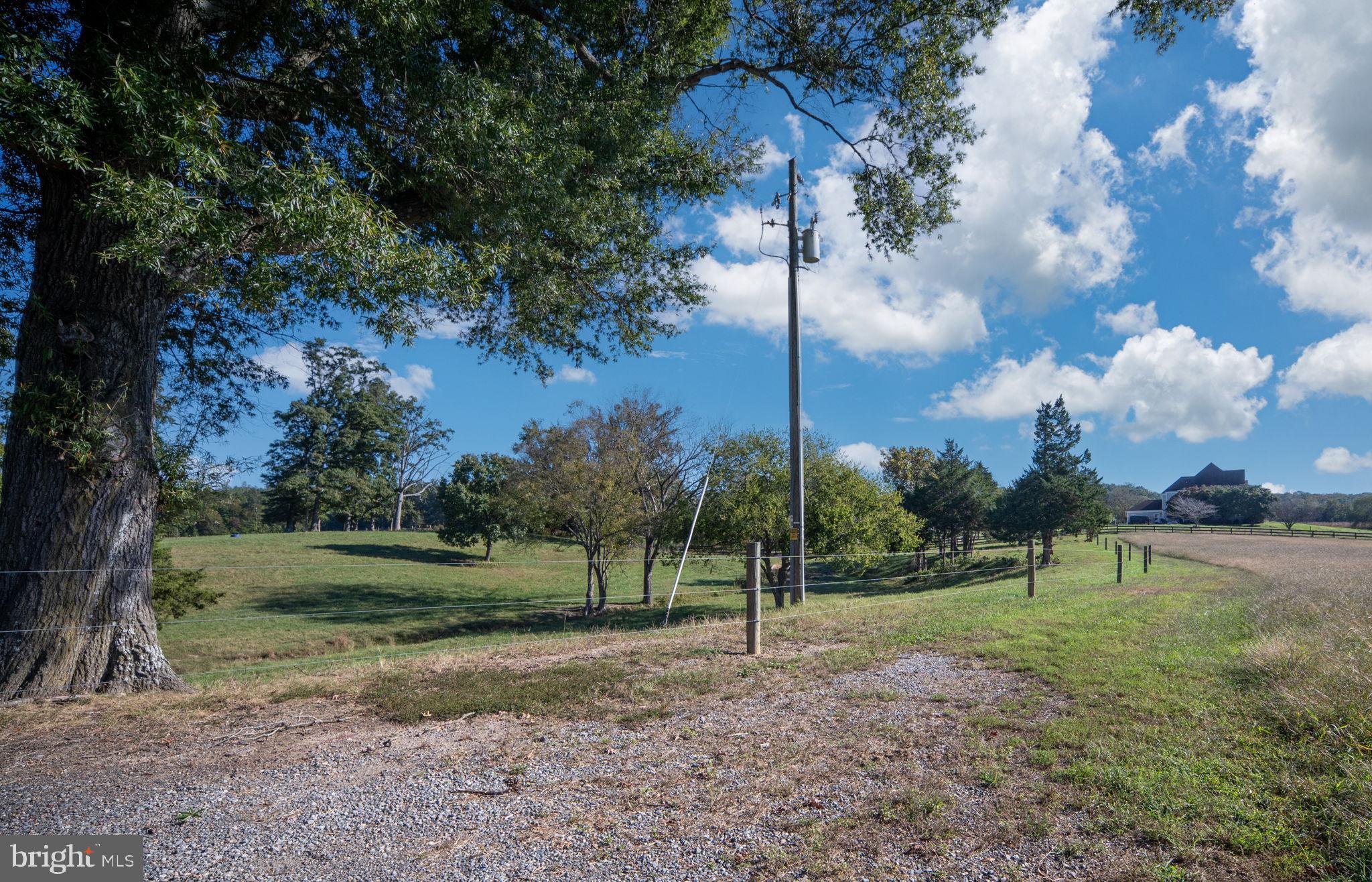 161 Forest Lane Road Fredericksburg, VA 22405 - Photo 67 of 99 Front pasture