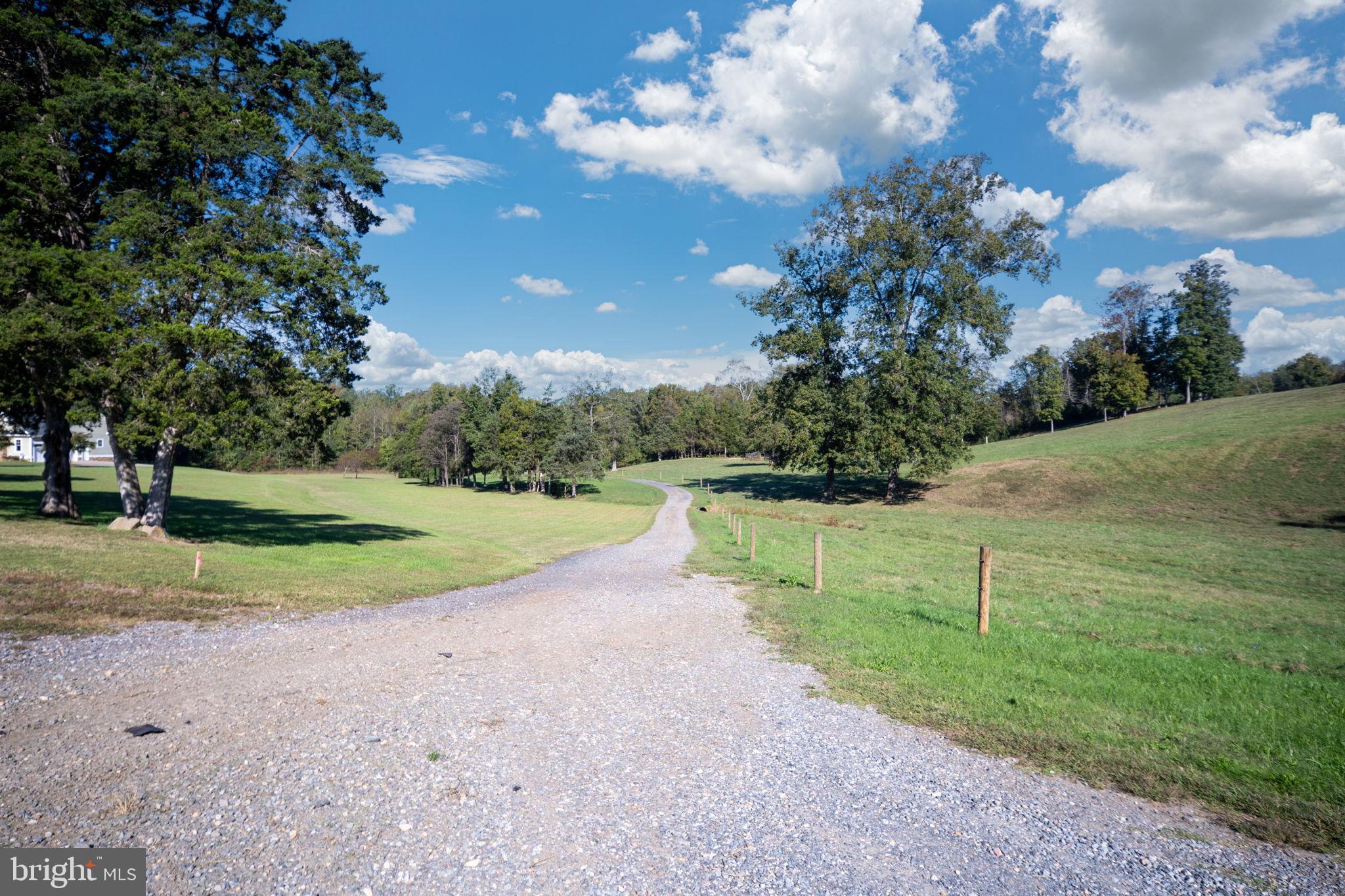 161 Forest Lane Road Fredericksburg, VA 22405 - Photo 69 of 99 a view of a park with large trees