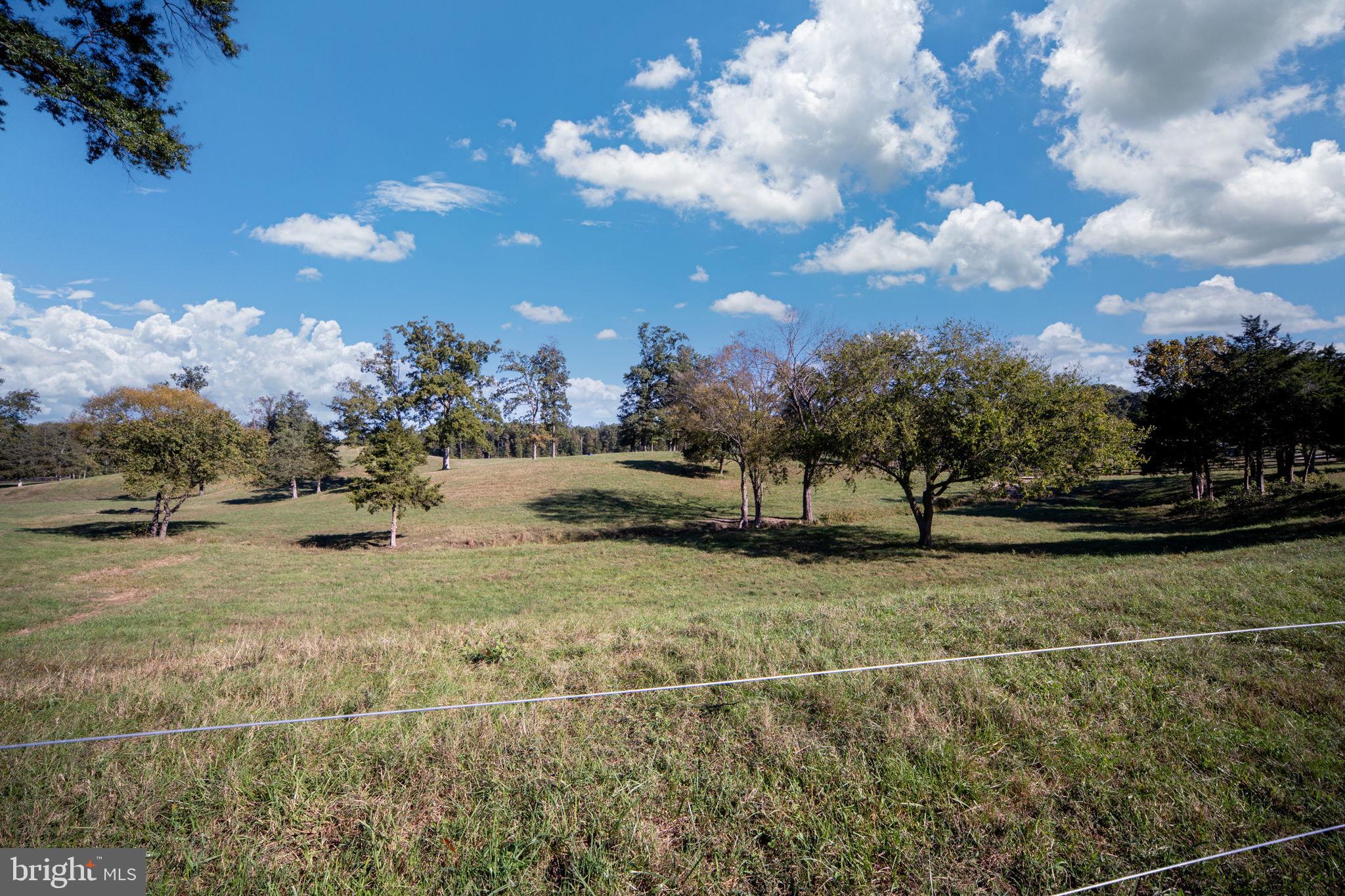 161 Forest Lane Road Fredericksburg, VA 22405 - Photo 72 of 99 Pasture