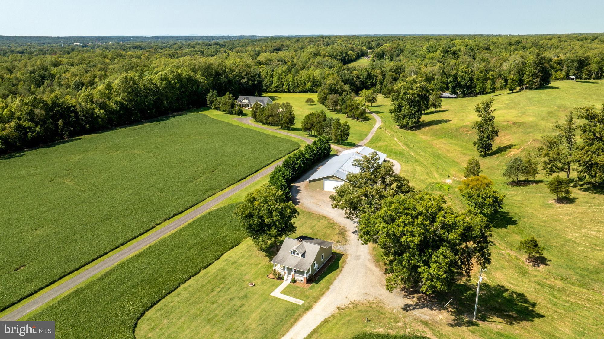 161 Forest Lane Road Fredericksburg, VA 22405 - Photo 75 of 99 a view of a yard with an outdoor seating