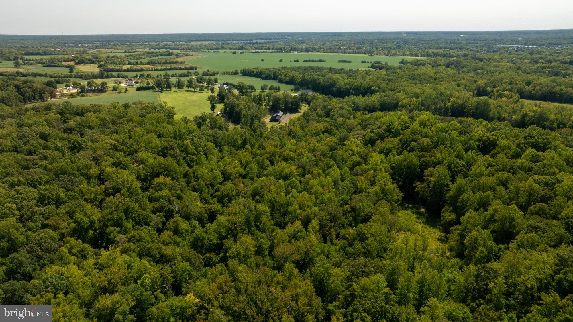 161 Forest Lane Road Fredericksburg, VA 22405 - Photo 78 of 99
