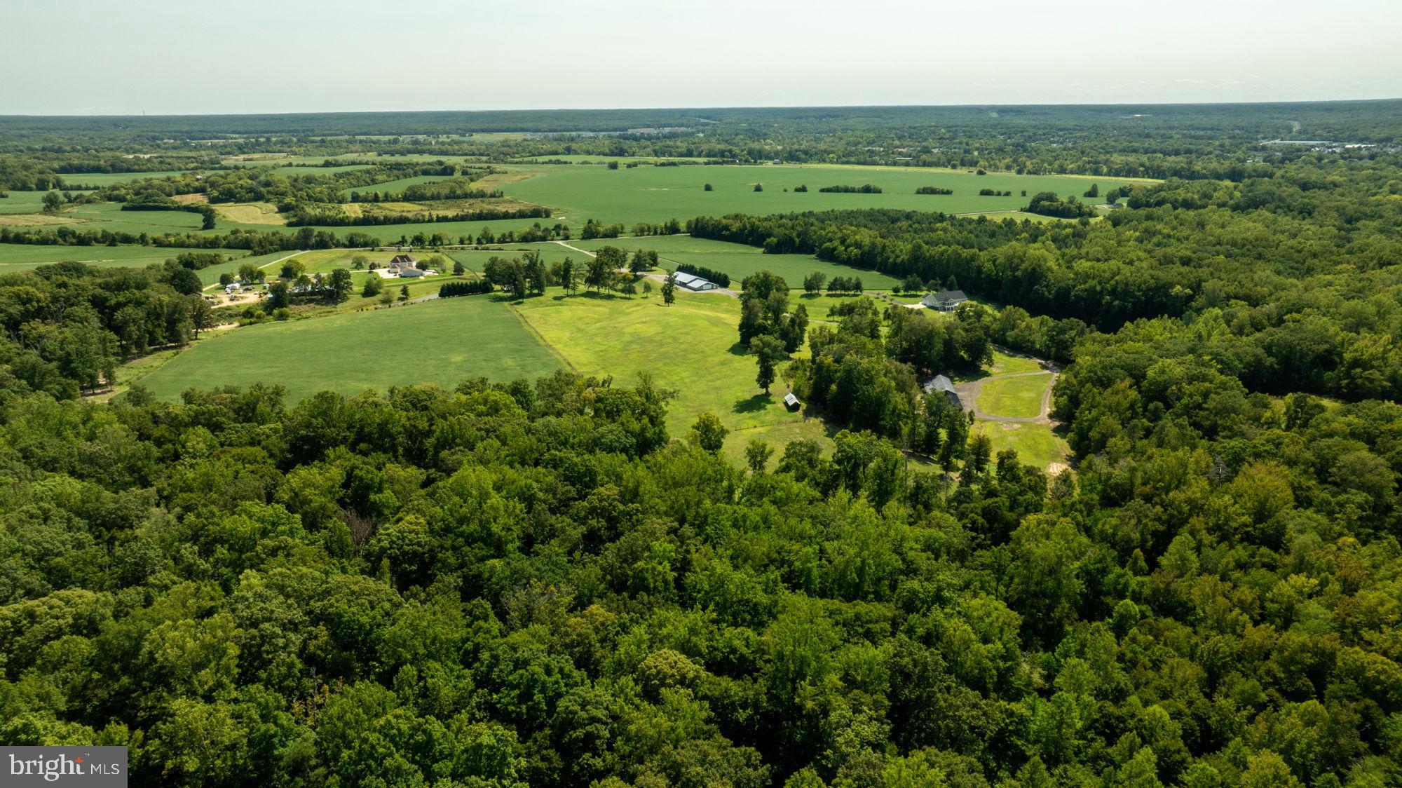 161 Forest Lane Road Fredericksburg, VA 22405 - Photo 80 of 99 an aerial view of residential houses with outdoor space and trees