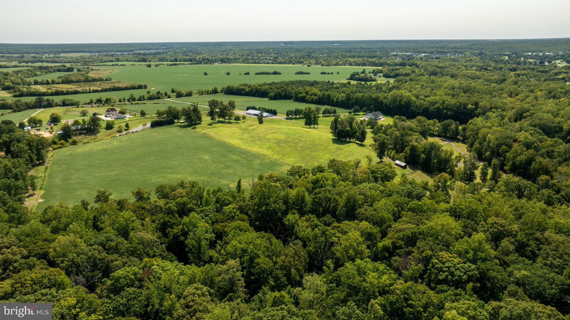 161 Forest Lane Road Fredericksburg, VA 22405 - Photo 81 of 99 an aerial view of a houses with a yard