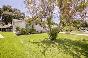 a view of yard with large trees