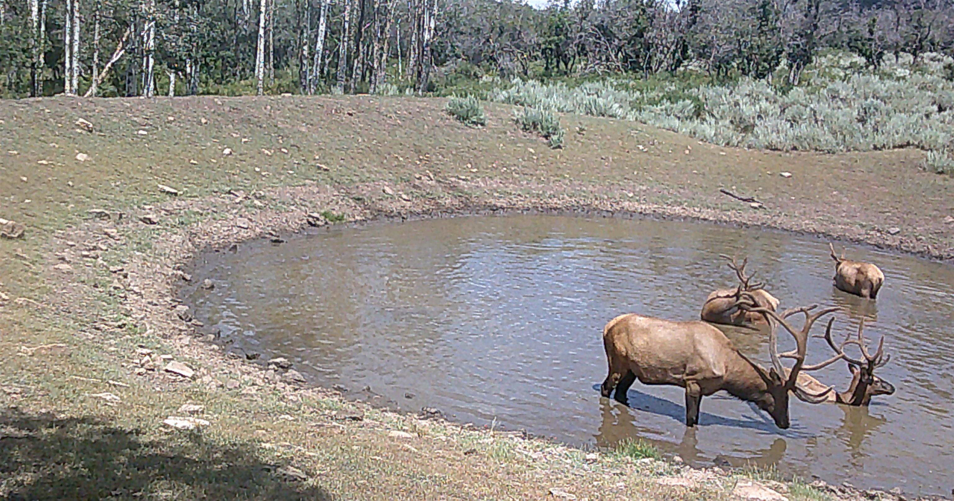Tbd Tbd Ms Road Glade Park, CO 81523 - Photo 19 of 20