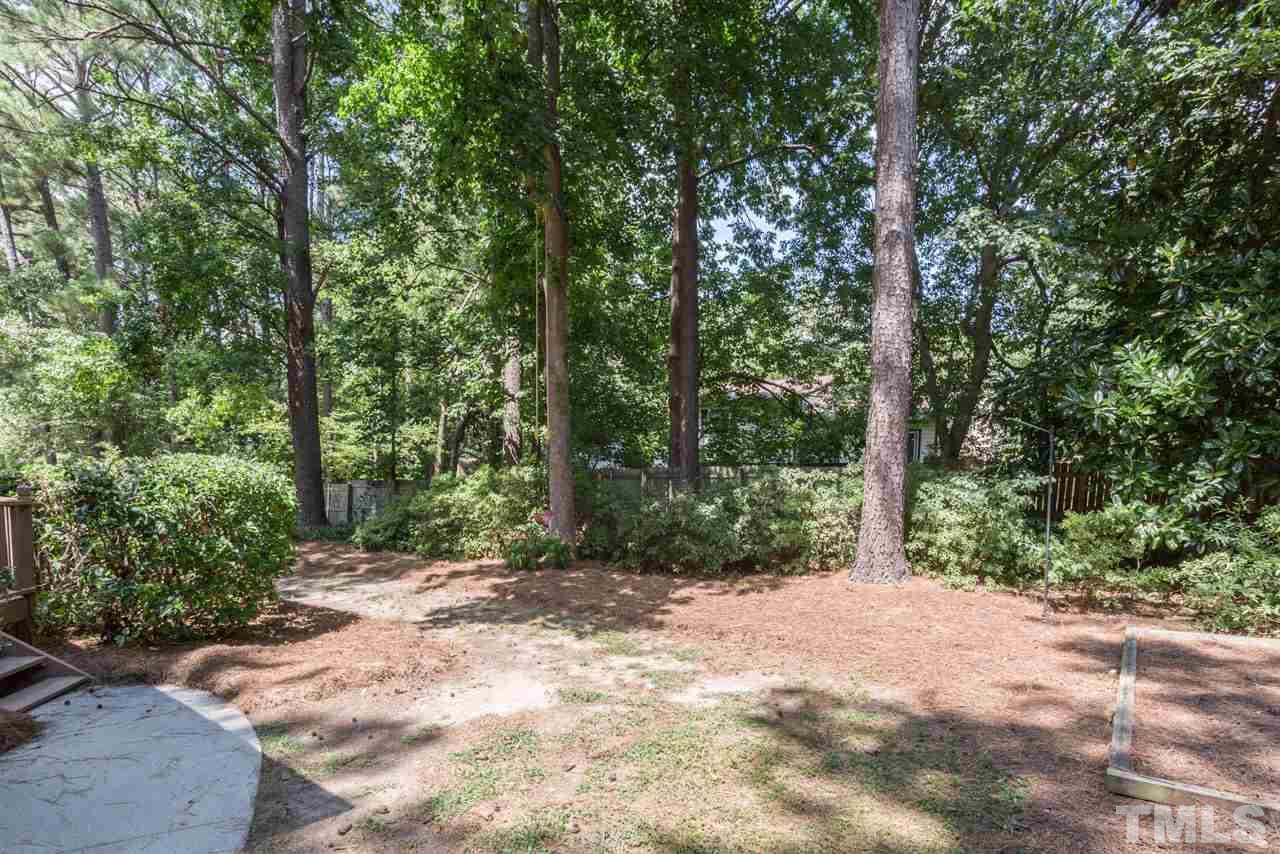 7308 Wilderness Road Raleigh, NC 27613 - Photo 24 of 25 a view of a forest with trees