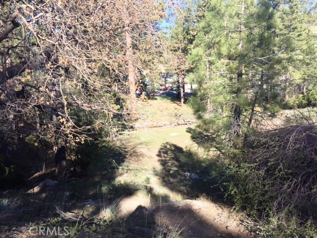 0 Talmadge Road Big Bear Lake, CA 92315 - Photo 2 of 6