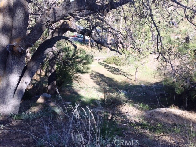 0 Talmadge Road Big Bear Lake, CA 92315 - Photo 3 of 6