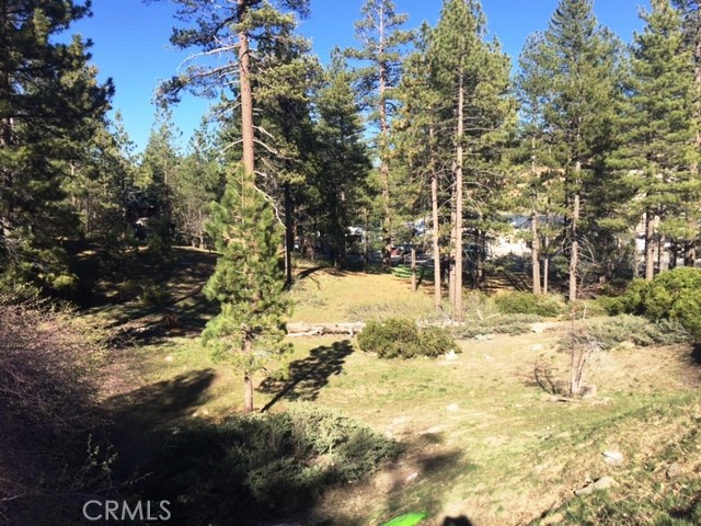0 Talmadge Road Big Bear Lake, CA 92315 - Photo 4 of 6