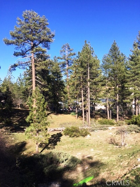 0 Talmadge Road Big Bear Lake, CA 92315 - Photo 5 of 6