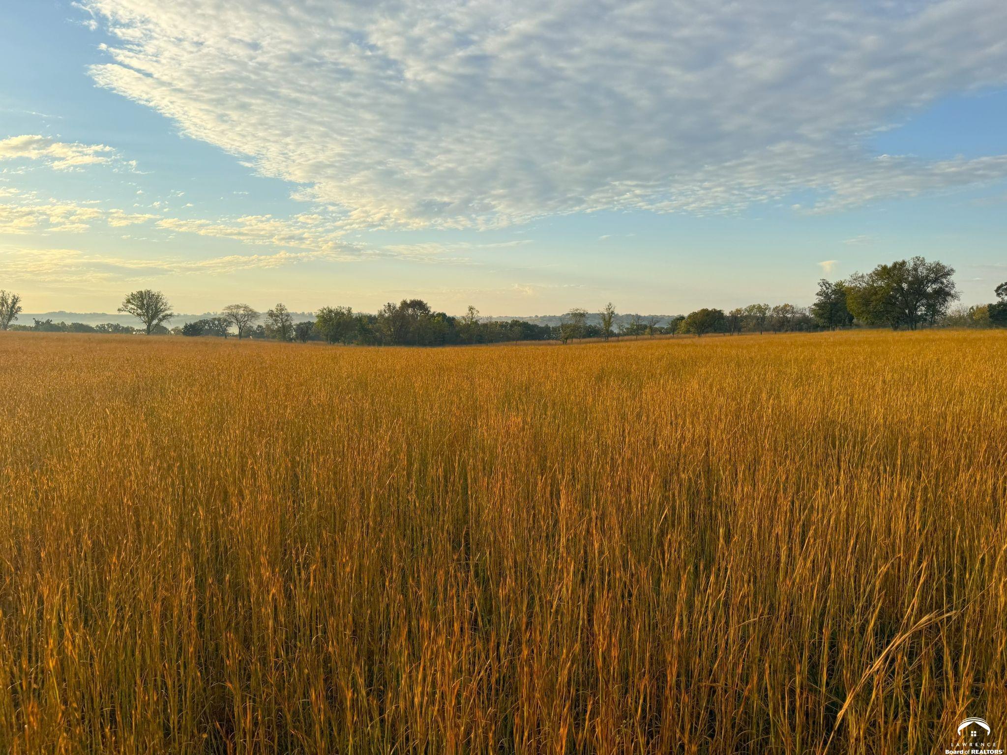 146 North 1150 Road Berryton, KS 66409 - Photo 8 of 11