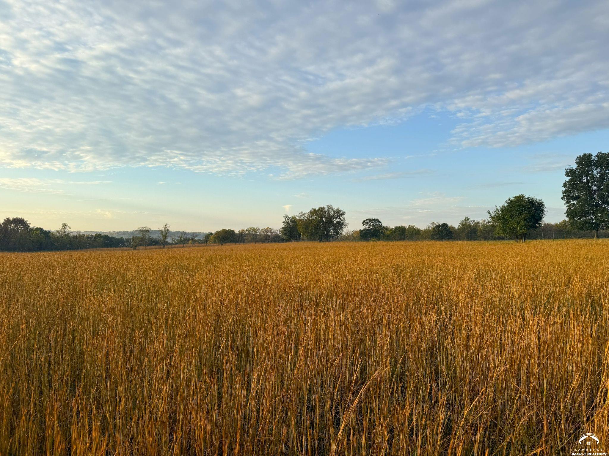 146 North 1150 Road Berryton, KS 66409 - Photo 9 of 11