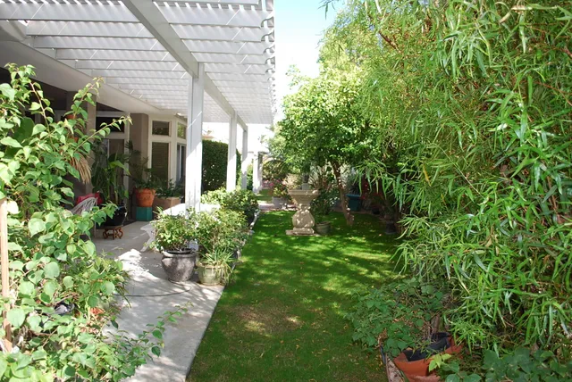 a view of a back yard of the house