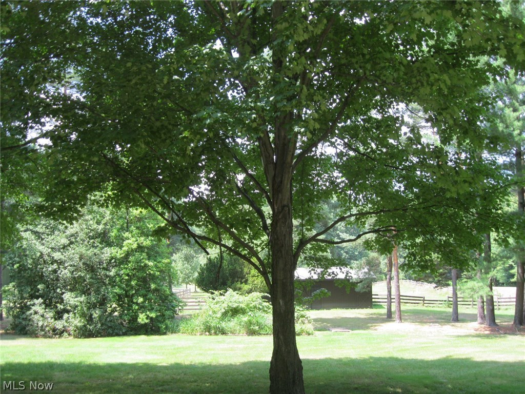 3550 Marsh Road Stow, OH 44224 - Photo 27 of 35 Back yard looking toward the barn and fenced paddock area.