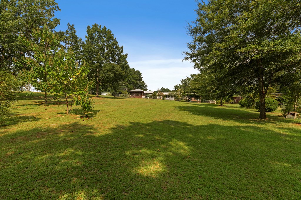 1018 Harden Road Slocomb, AL 36375 - Photo 40 of 55