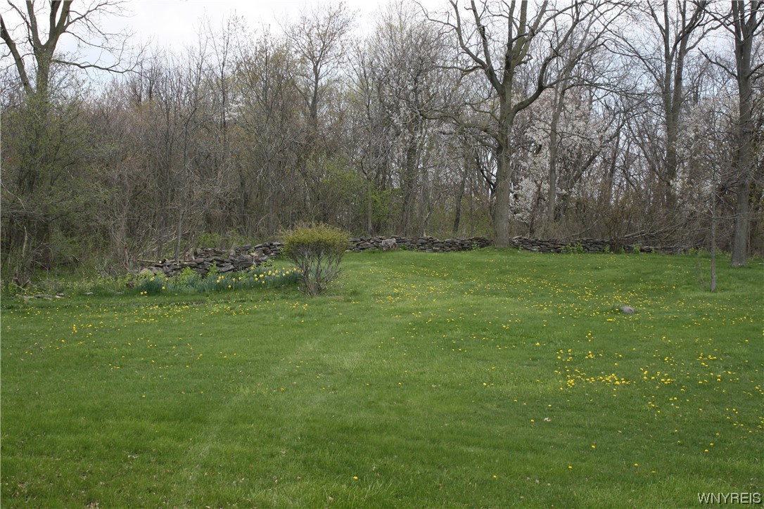 2831 Lower Mountain Road Lewiston, NY 14131 - Photo 42 of 44 Back yard