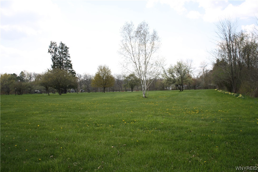 2831 Lower Mountain Road Lewiston, NY 14131 - Photo 43 of 44 Front yard to road