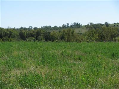 1240 Jim Clark Road Lancaster, KY 40444 - Photo 16 of 34 Lush, green alfalfa pastures.