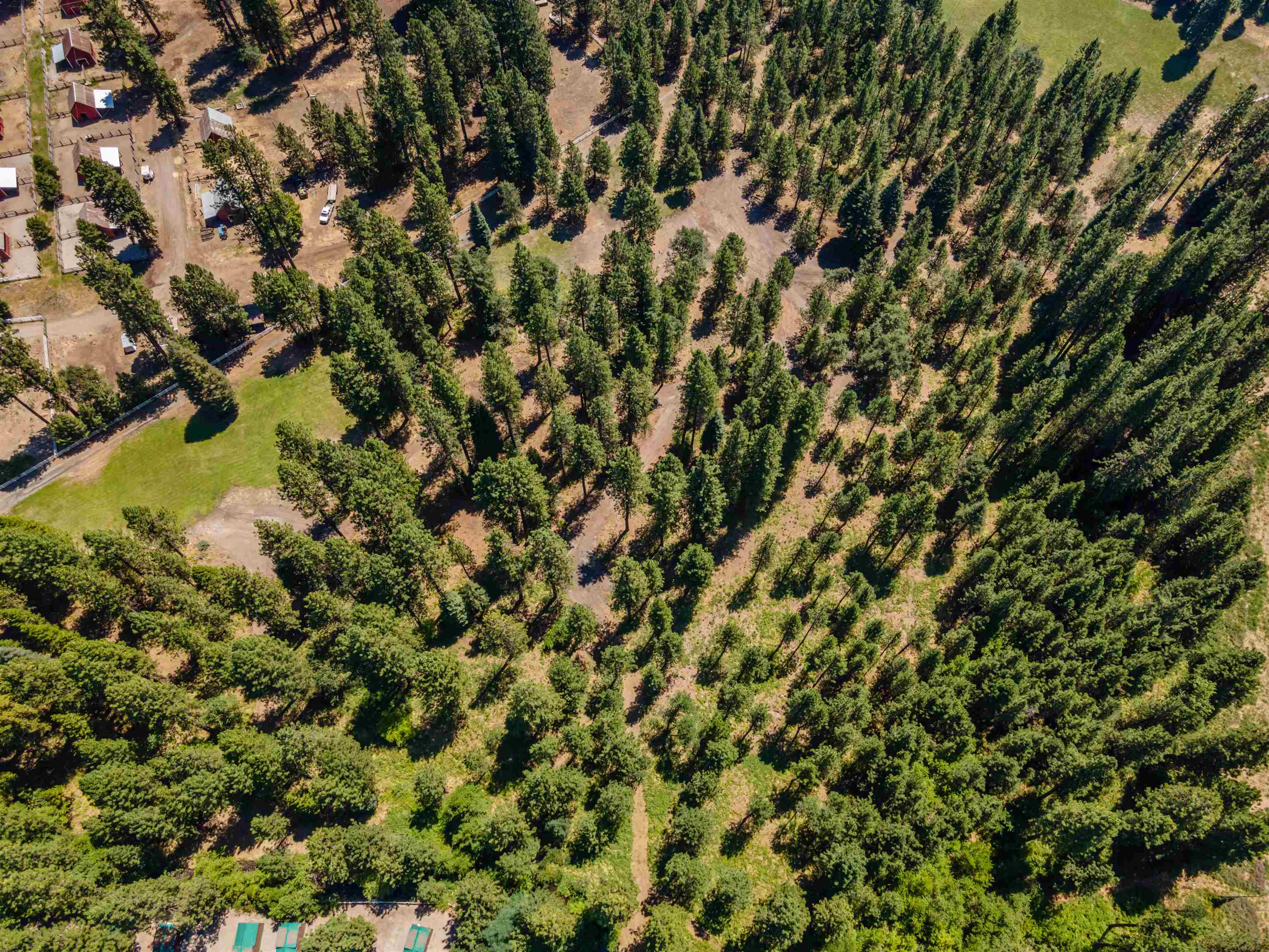 Lot B Red Cloud Rnch Road McCloud, CA 96057 - Photo 12 of 18 Gallery Image 12