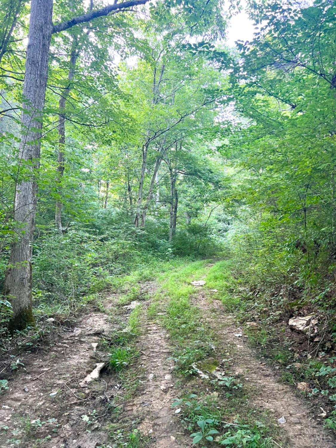 6960 Straight Creek Road Georgetown, OH 45121 - Photo 86 of 93