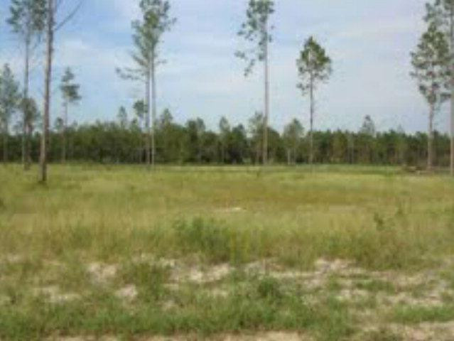 Lot 19 Cameron Road Jesup, GA 31545 - Photo 1 of 1 Gallery Image 1