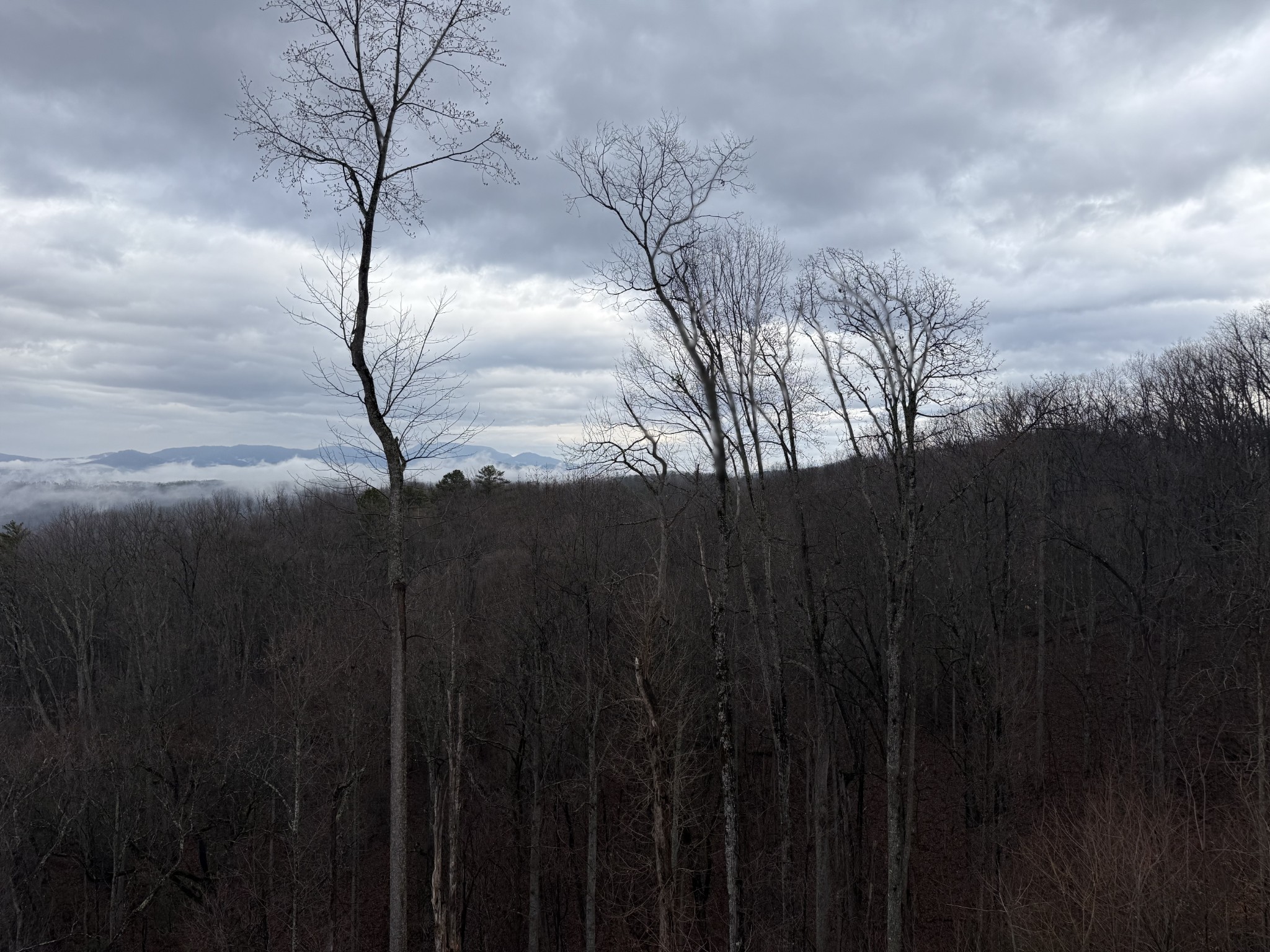 1310 Amazing Grace Way Sevierville, TN 37876 - Photo 15 of 15 a view of water heater on a field