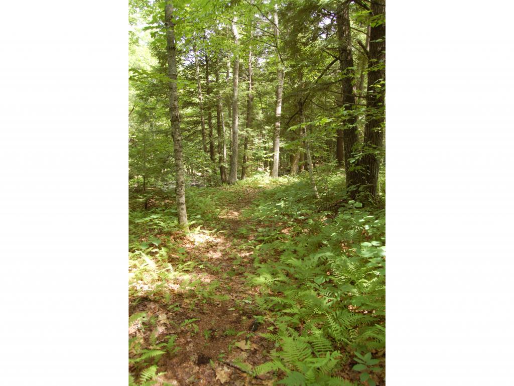 438 Roby Road South Sutton, NH 03273 - Photo 20 of 27 Gallery Image 20