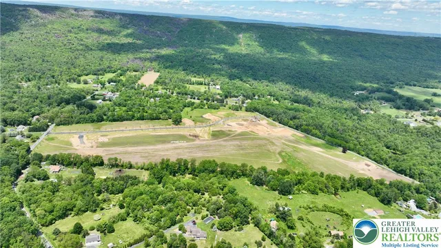 a view of a yard with plants