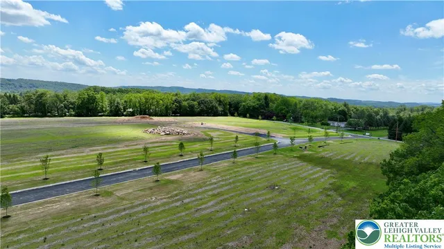 a view of a swimming pool with a yard