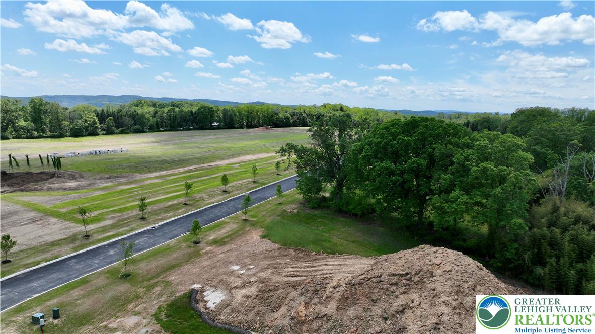 1225 Quince Road Walnutport, PA 18088 - Photo 32 of 50 a view of a garden with an outdoor space