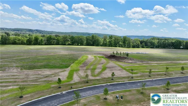 a view of a swimming pool with a yard