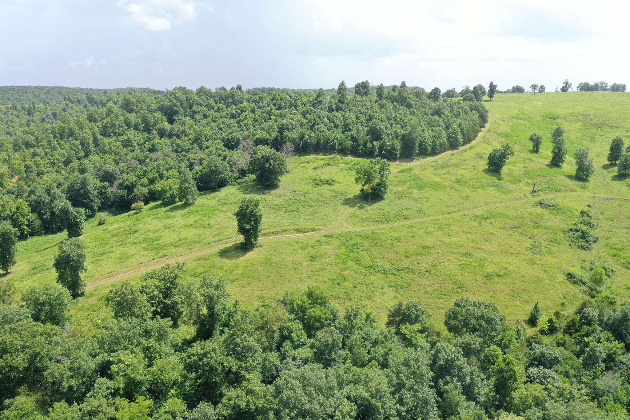 Tbd Dewdrop Road Blue Eye, MO 65611 - Photo 42 of 51 390 Acres on DewDrop, Blue Eye, MO