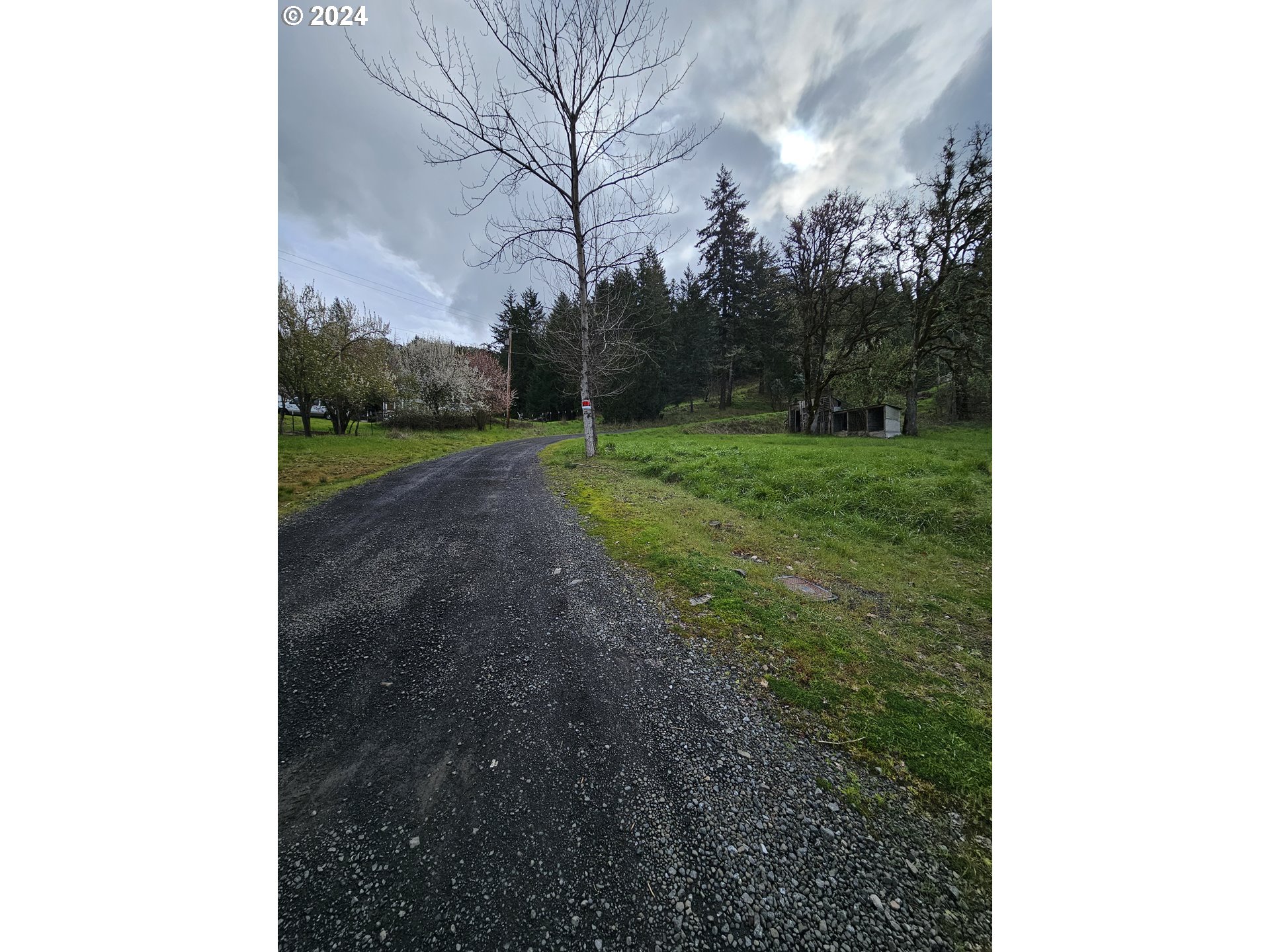326 Rice Creek Road Winston, OR 97496 - Photo 16 of 22 a view of a yard with plants and trees