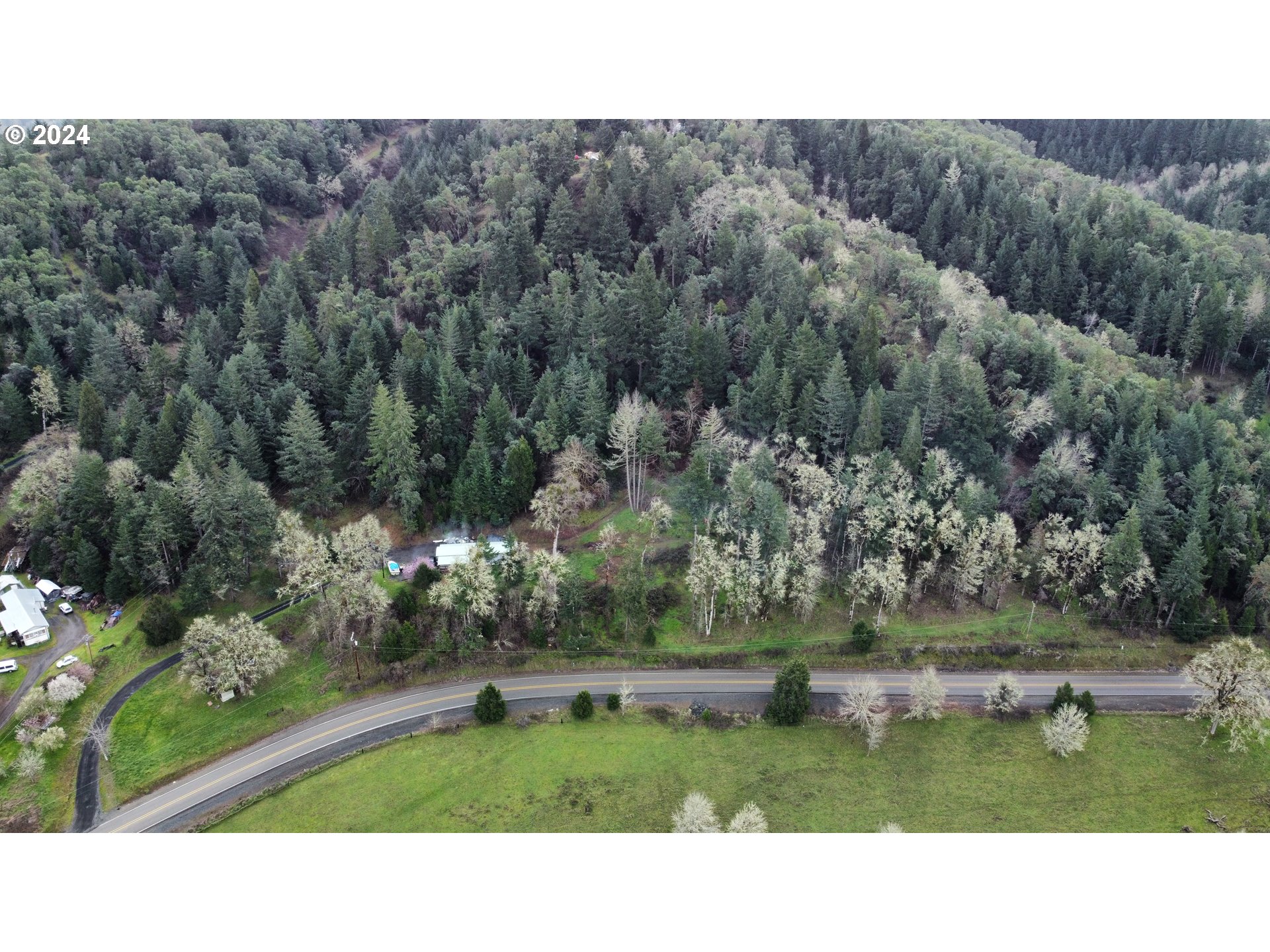 326 Rice Creek Road Winston, OR 97496 - Photo 19 of 22 a black and white photo of a green field