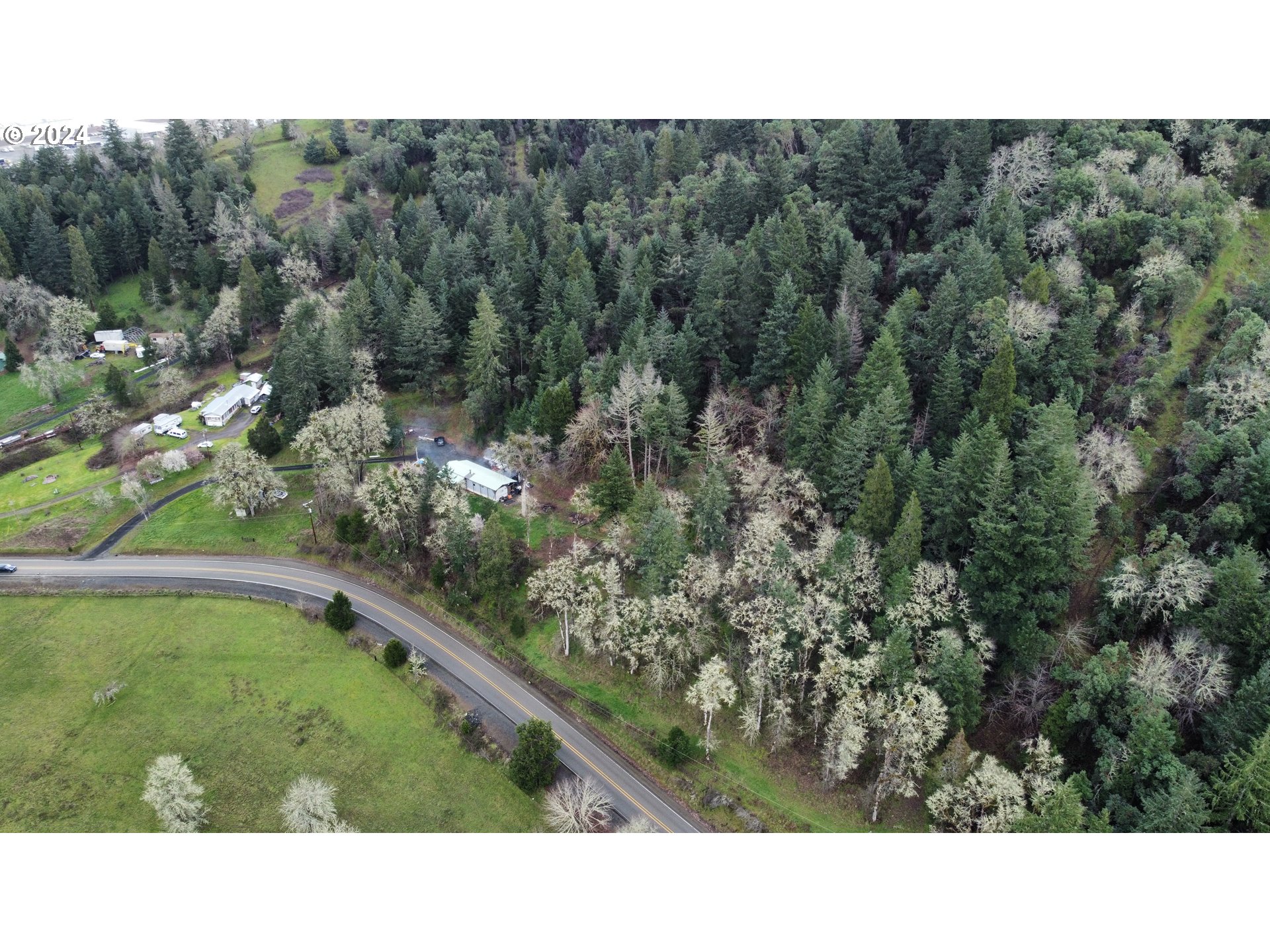 326 Rice Creek Road Winston, OR 97496 - Photo 20 of 22