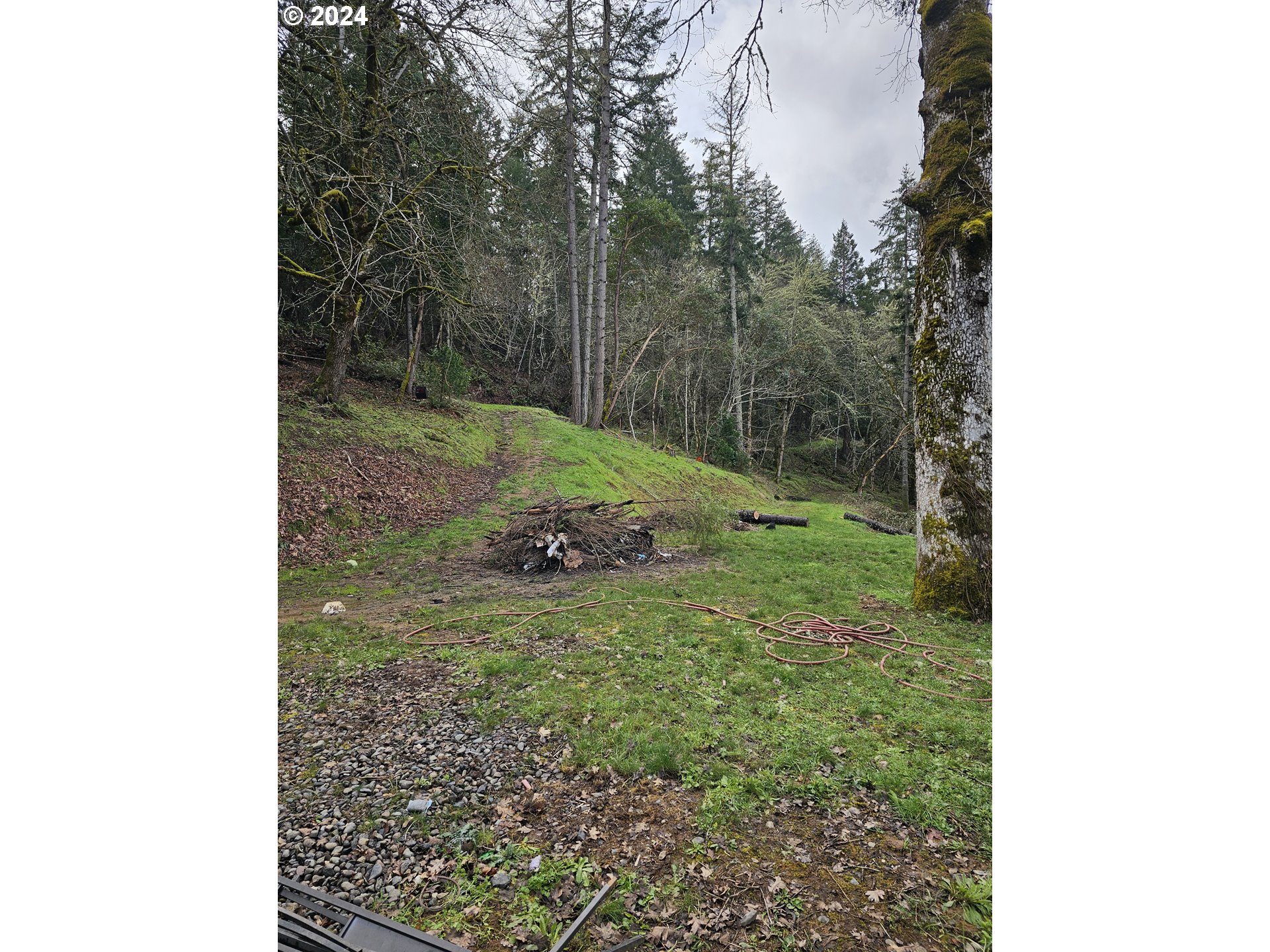 326 Rice Creek Road Winston, OR 97496 - Photo 5 of 22 a view of a small yard