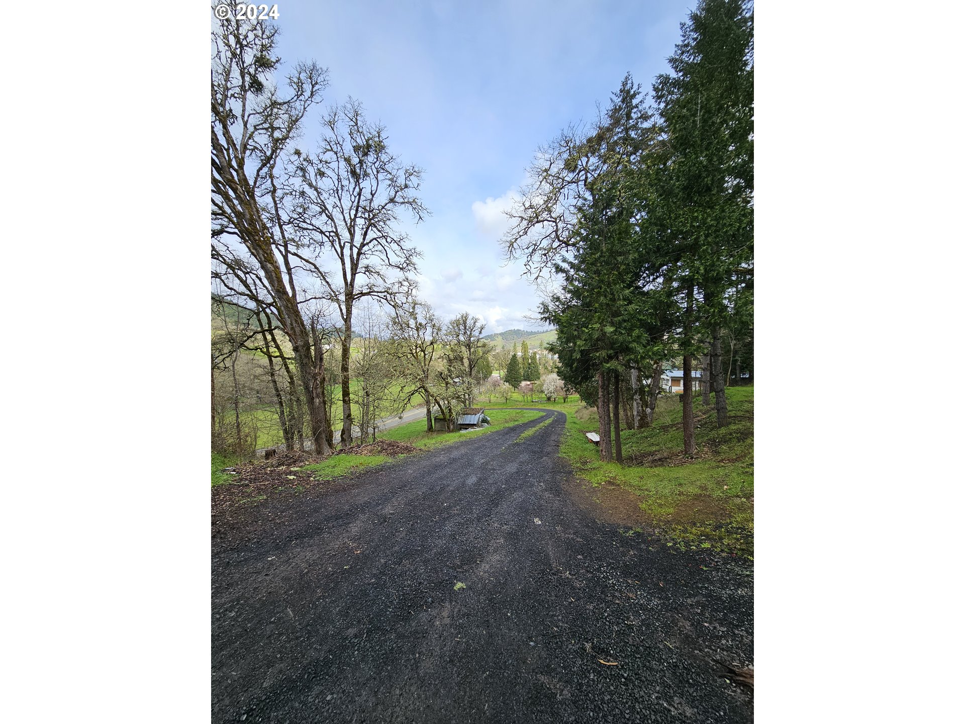 326 Rice Creek Road Winston, OR 97496 - Photo 7 of 22 a view of a yard with trees