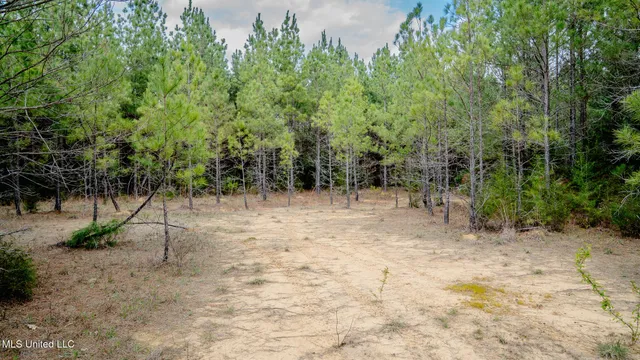 $156,000 | 0 Elijah Graham Road, Noxapater, MS 39346
