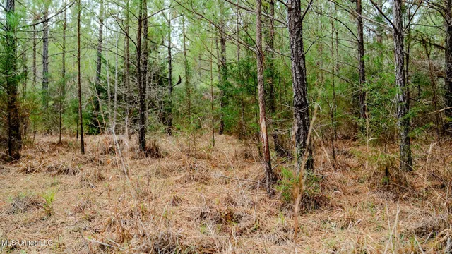 $156,000 | 0 Elijah Graham Road, Noxapater, MS 39346