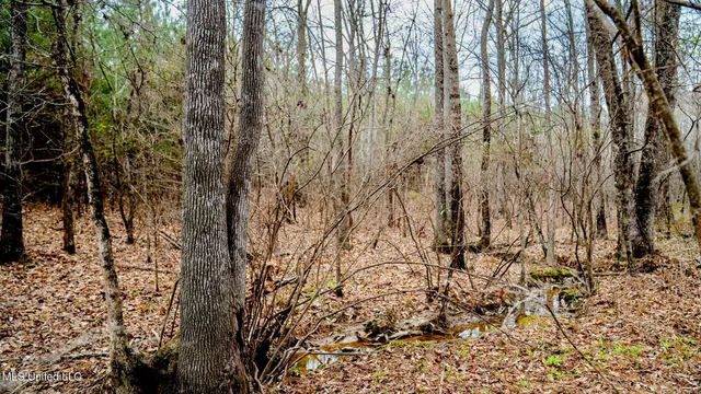 $156,000 | 0 Elijah Graham Road, Noxapater, MS 39346