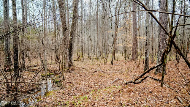 $156,000 | 0 Elijah Graham Road, Noxapater, MS 39346
