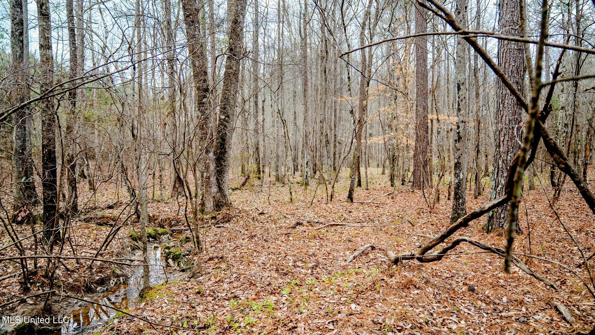 0 Elijah Graham Road Noxapater, MS 39346 - Photo 20 of 50 tempImageAkmvyn