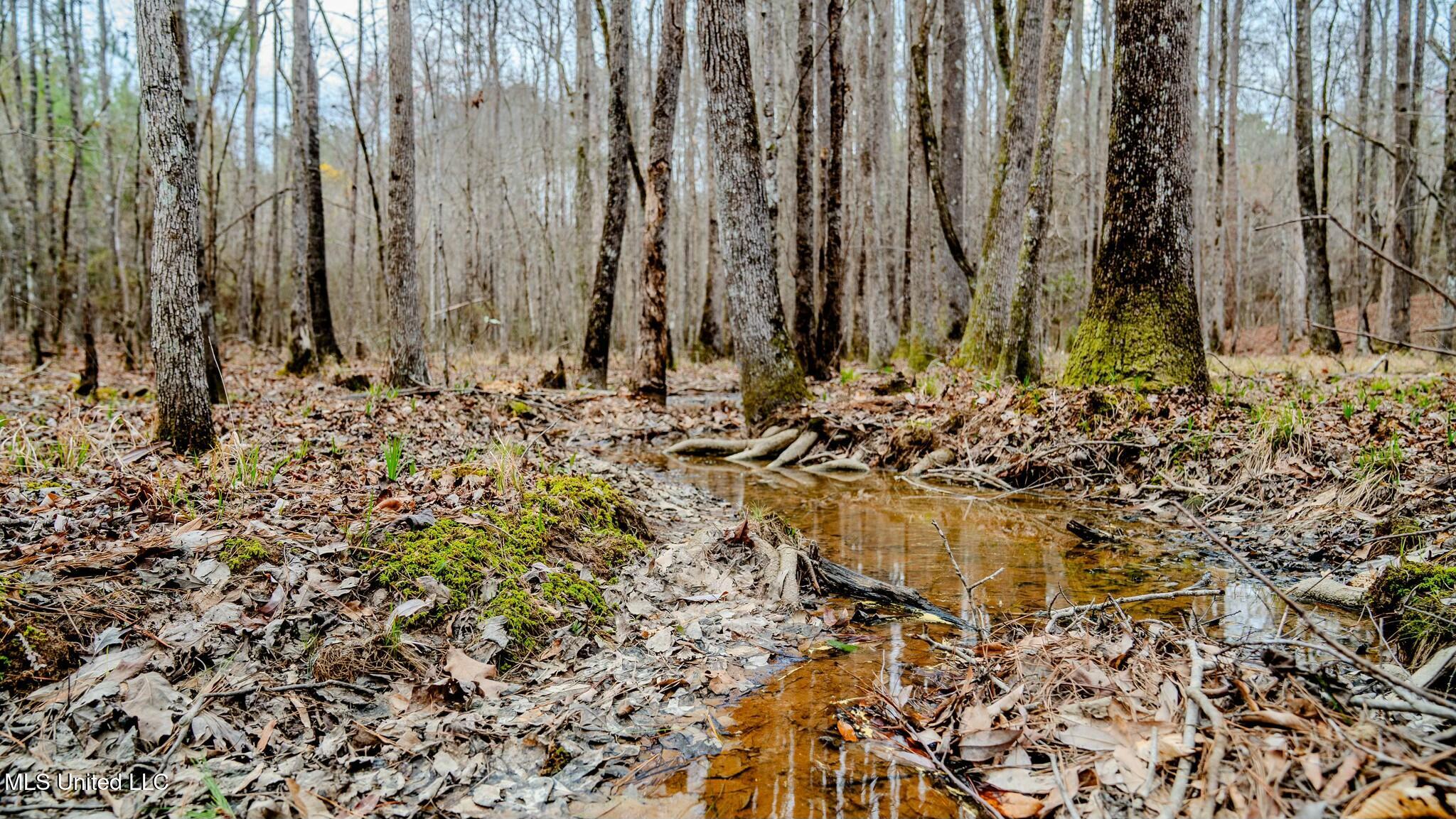 0 Elijah Graham Road Noxapater, MS 39346 - Photo 26 of 50 tempImagen4vBty